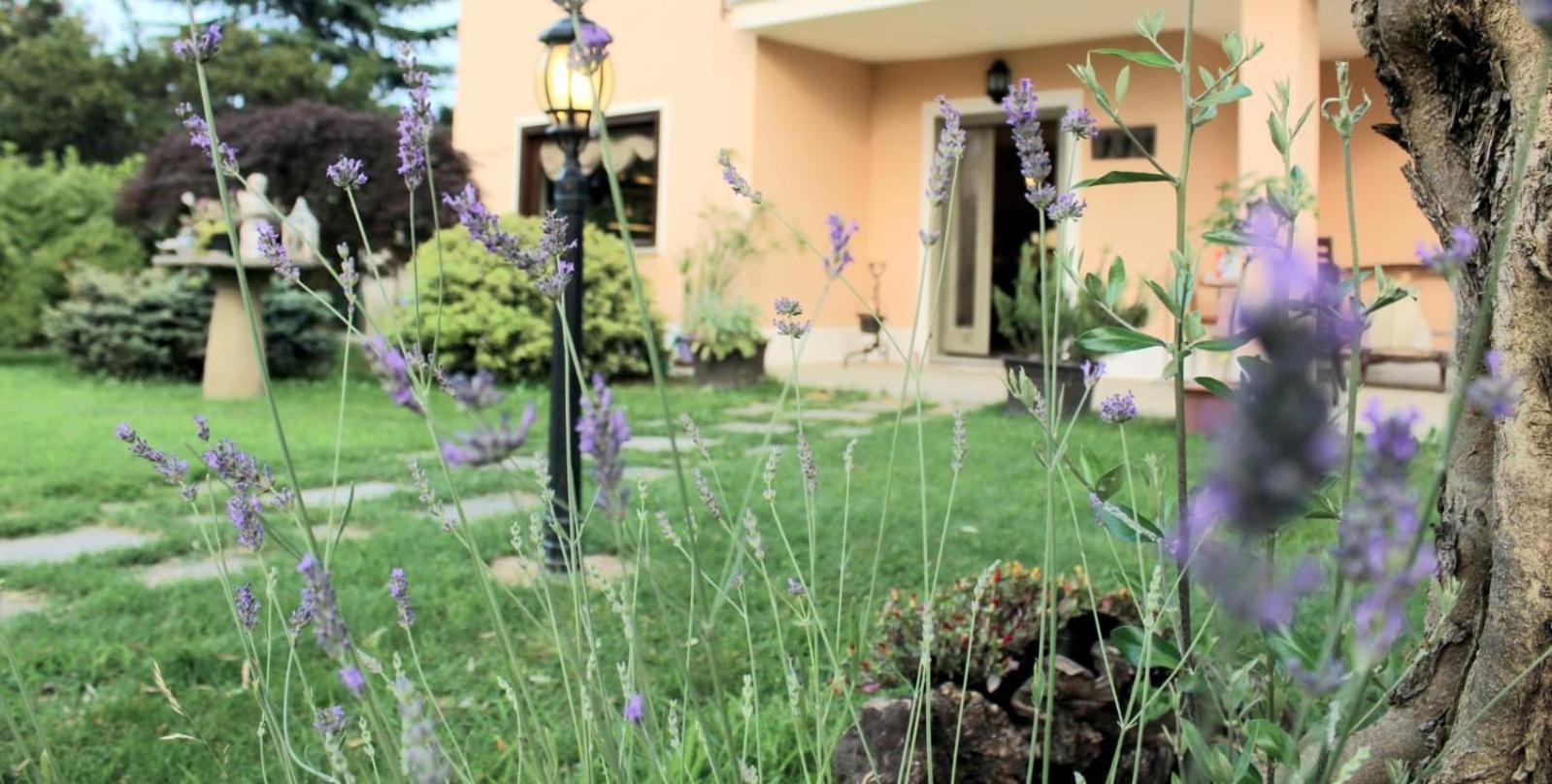 Un Sorriso Sul Viso Villa Martiniana Po Exterior foto